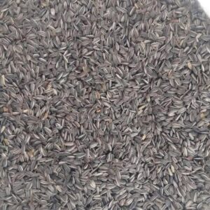 Sunflower seeds
